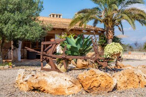 المنطقة المحيطة بالمنشأة