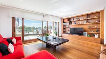 Fernseher, DVD-Player