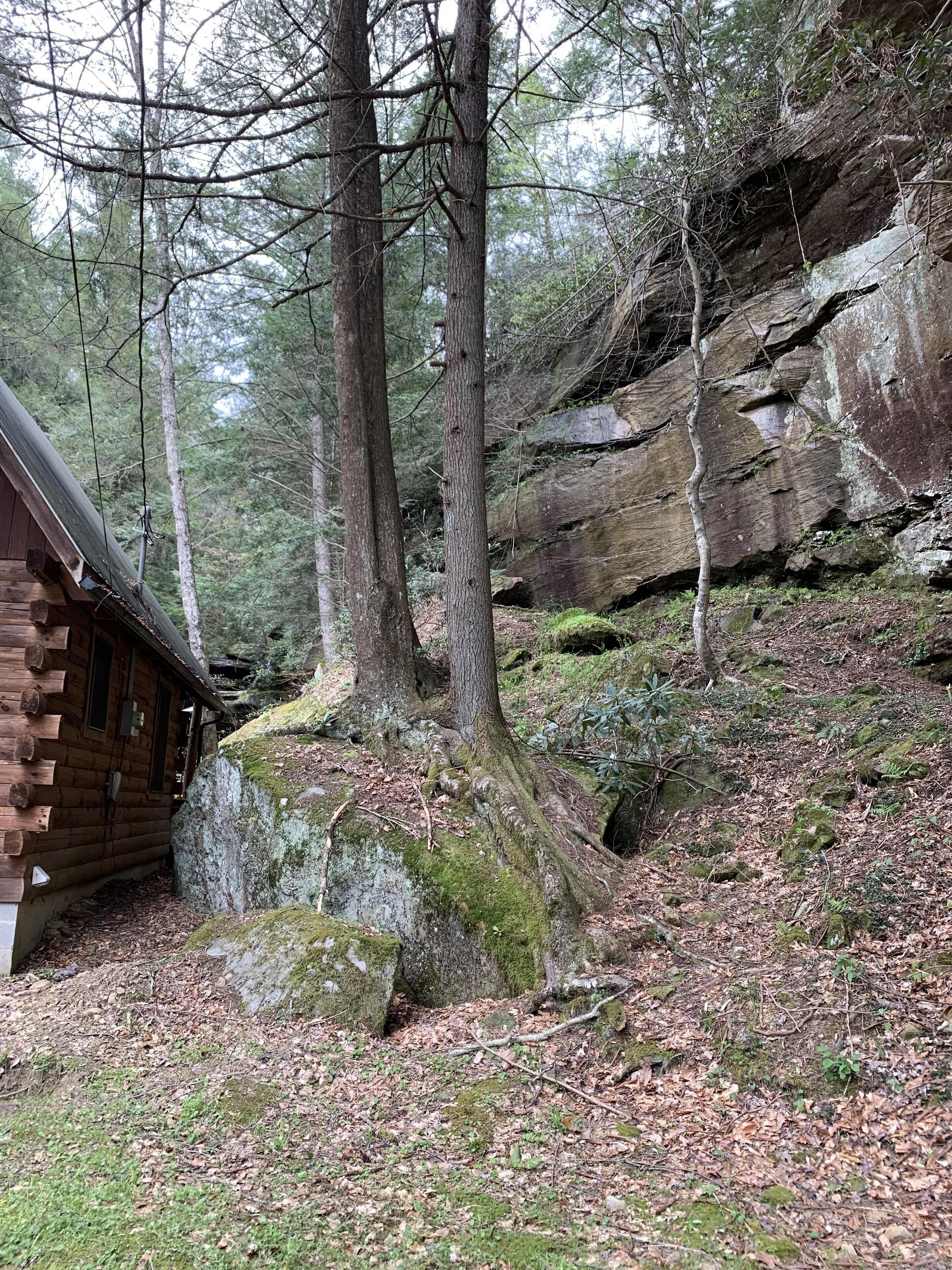 Eine rustikale Holzhütte, umgeben von einem bewaldeten Gebiet mit großen Bäumen und einem felsigen Hang.