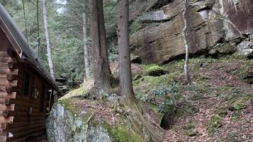 Eine rustikale Holzhütte, umgeben von einem bewaldeten Gebiet mit großen Bäumen und einem felsigen Hang.