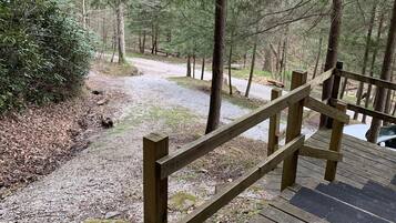 A wooden deck with a railing leading into a forested area.