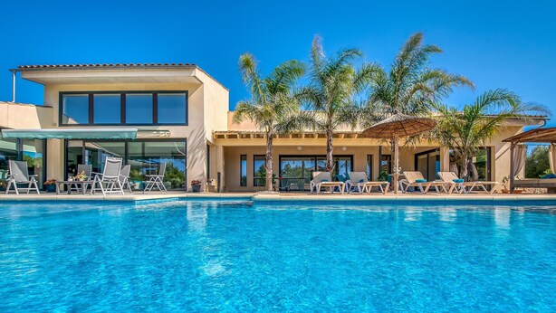 Une piscine avec des chaises longues et des palmiers.