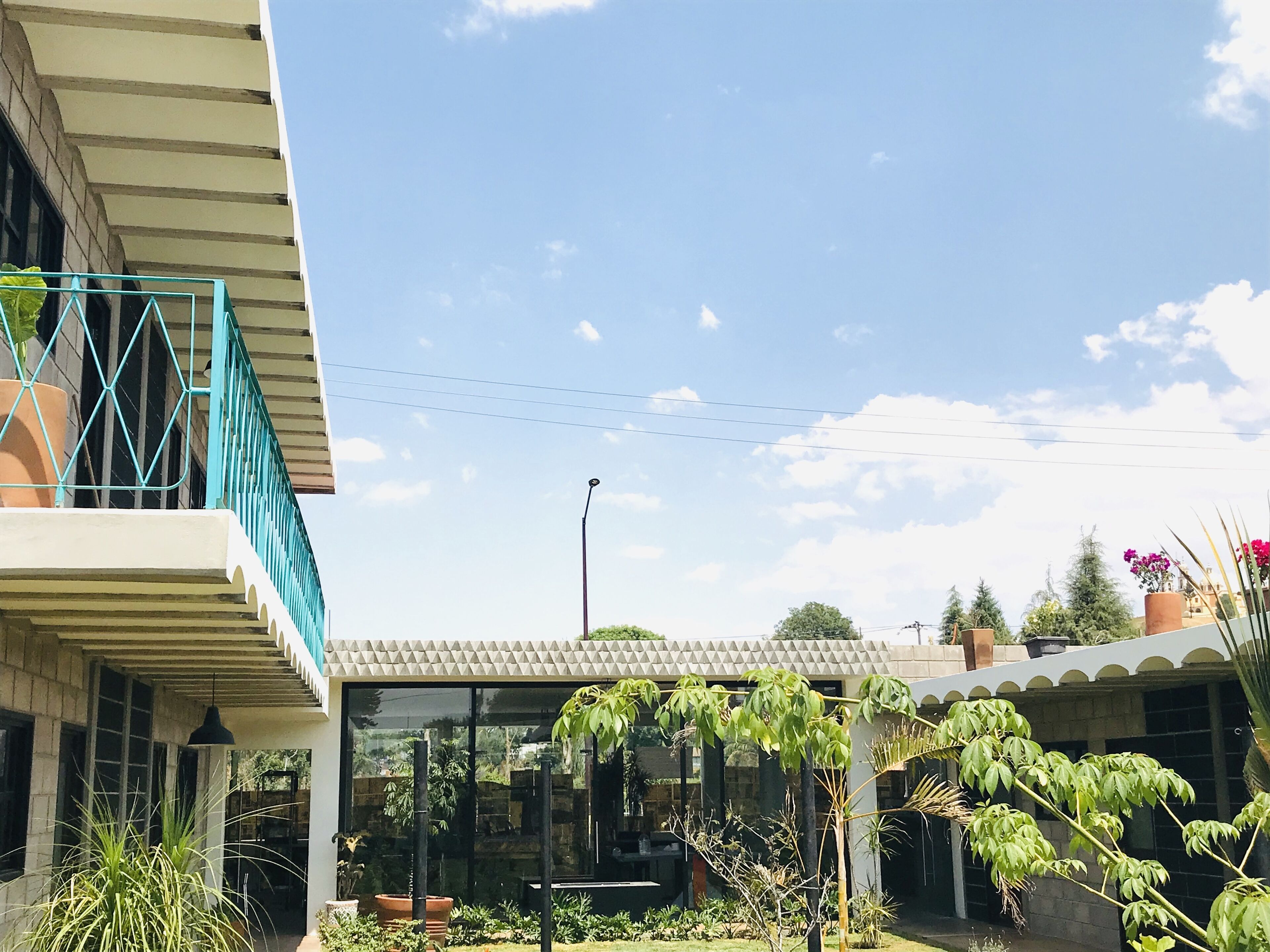 Un patio con un edificio moderno, una escalera y varias plantas.