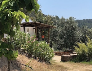 المنطقة المحيطة بالمنشأة