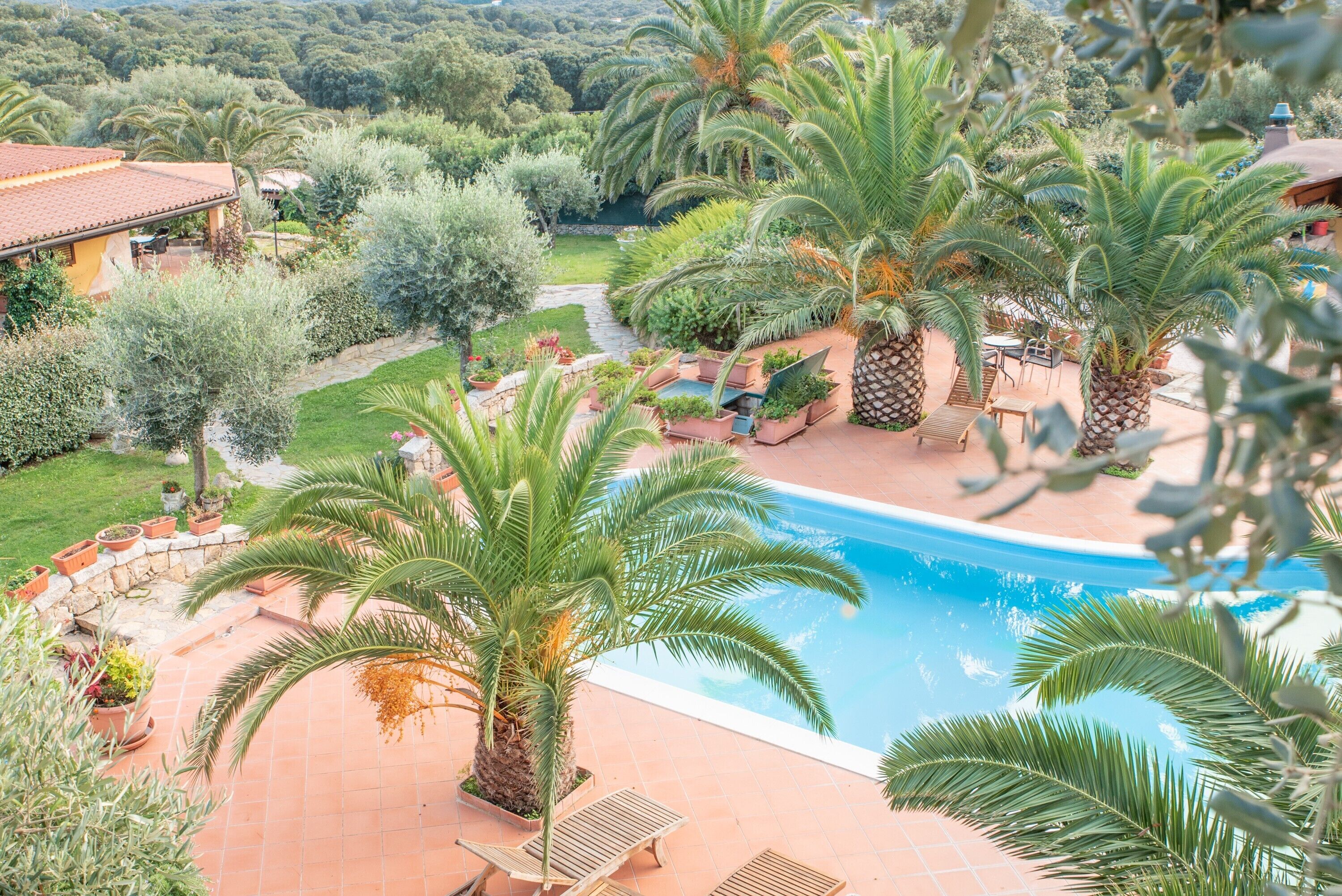 A pool area with palm trees, lounge chairs, and a stone pathway.