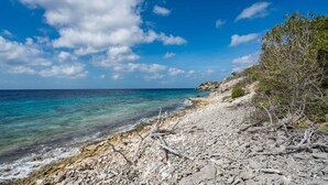 Ein felsiger Strand mit klarem türkisblauem Wasser und wolkenlosem Himmel.