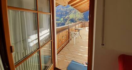 Acogedor apartamento Strickerhof 1 con vistas a la montaña y balcón