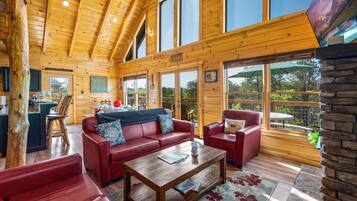 Smart TV, fireplace, DVD player, video library