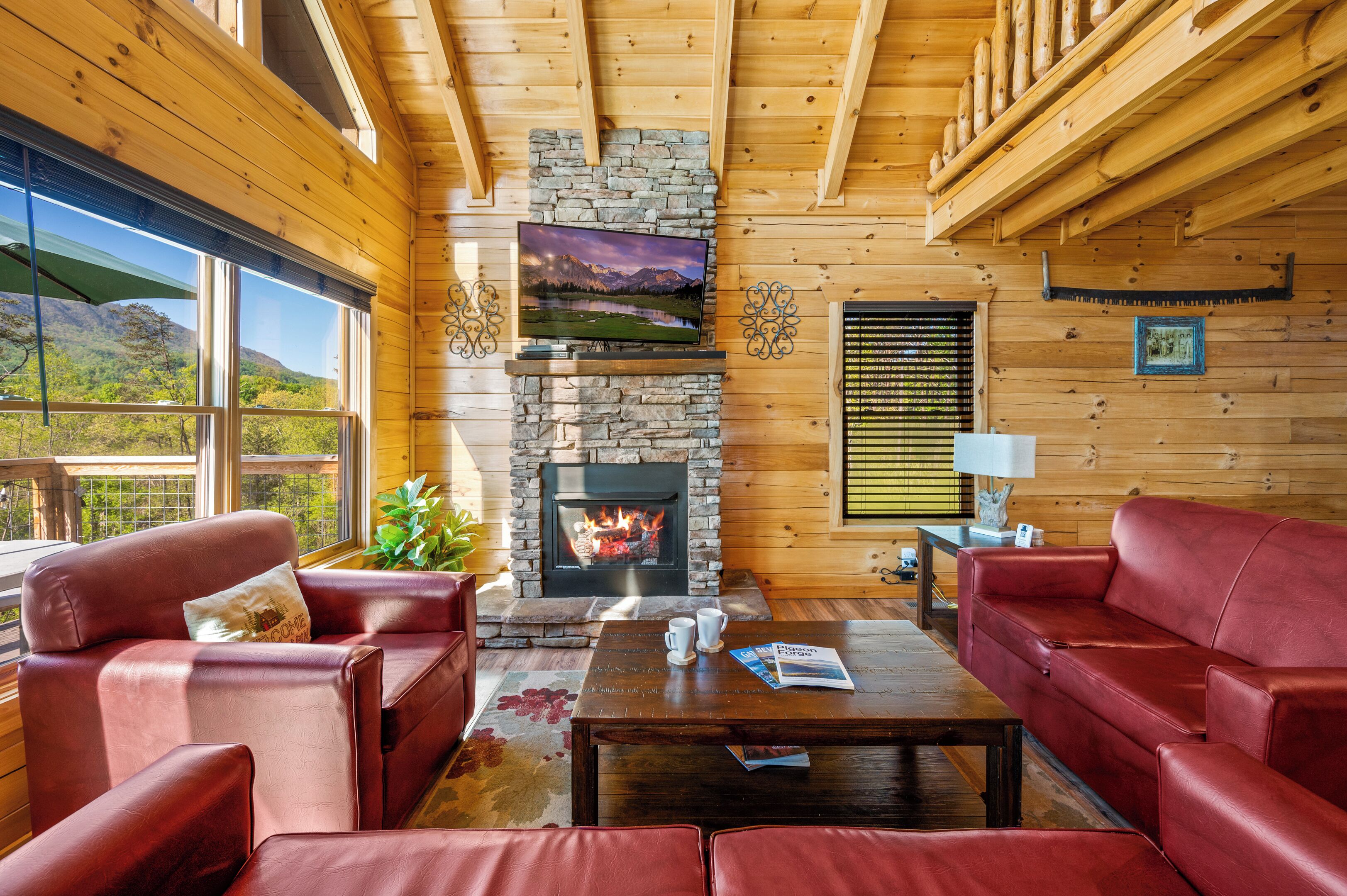 Smart TV, fireplace, DVD player, video library