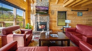 Smart TV, fireplace, DVD player, video library