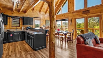 Smart TV, chimenea, reproductor de DVD y videoteca