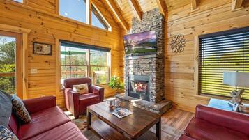 Smart TV, fireplace, DVD player, video library