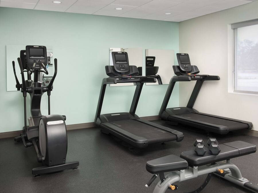 A fitness room with treadmills, an elliptical, and a bench with dumbbells.