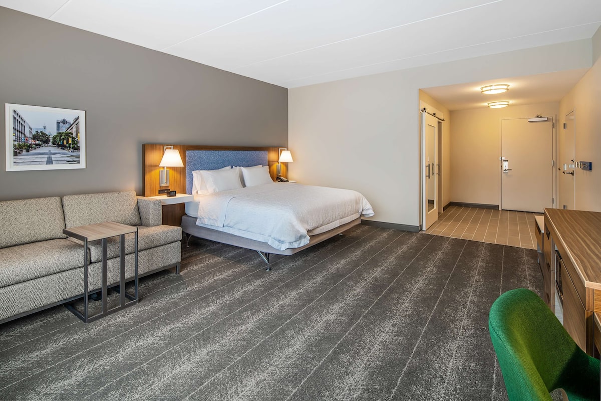 Room, 1 King Bed with Sofa bed, Accessible, Bathtub