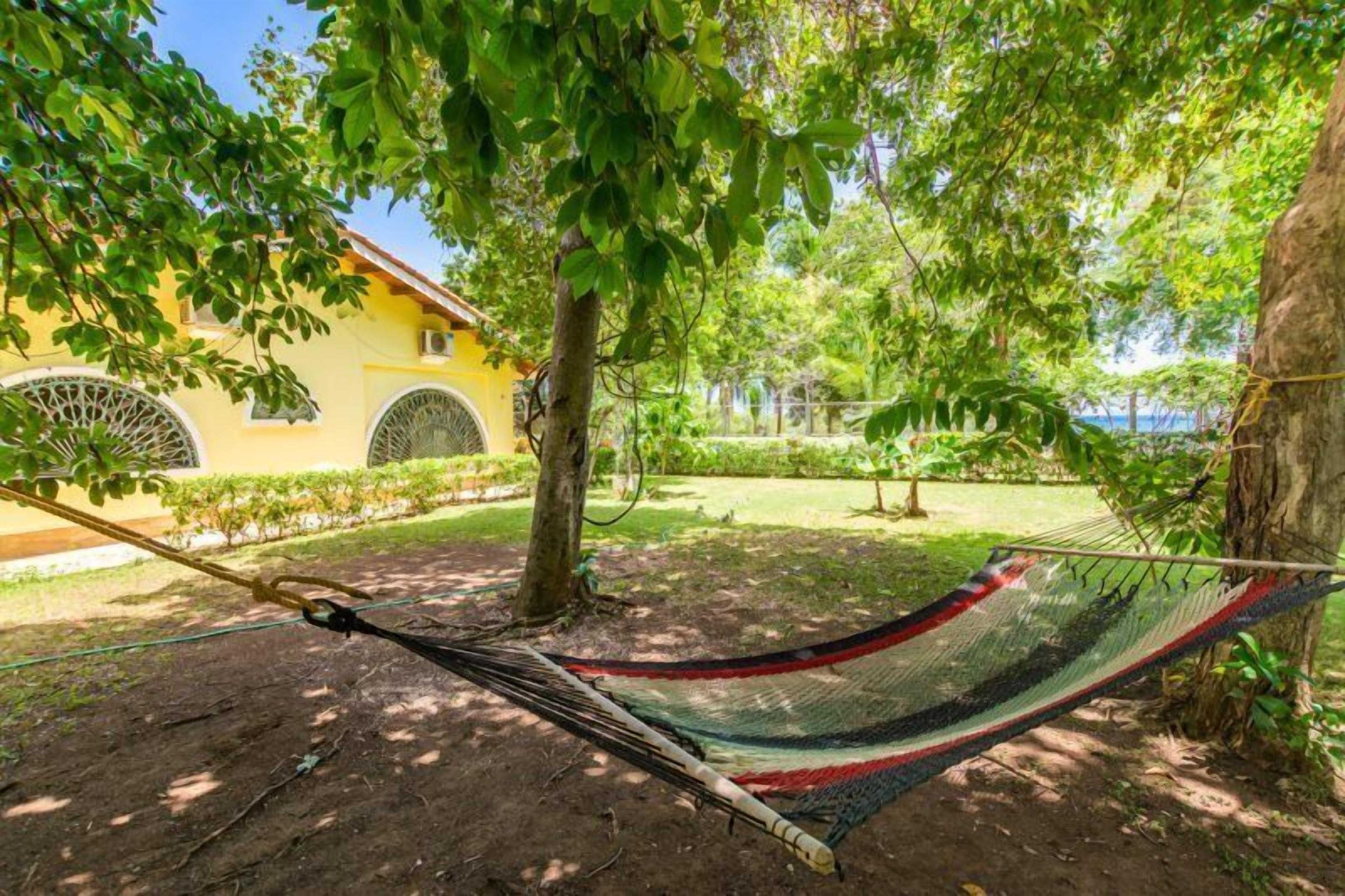 A hammock under a tree in a garden with a yellow building in the background.