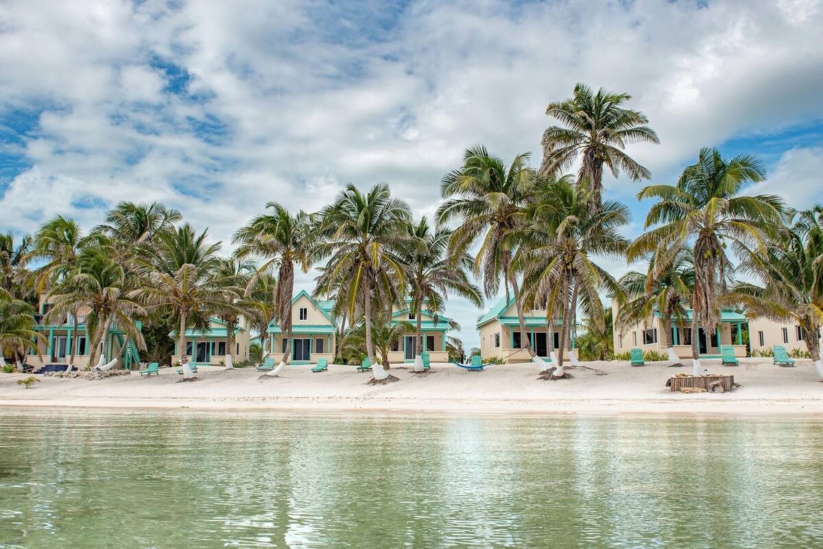 A beachfront hotel with multiple palm trees, a sandy beach, and a calm sea.