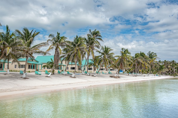 Un resort frente a la playa, con una hilera de palmeras, una playa de arena y un edificio turquesa.