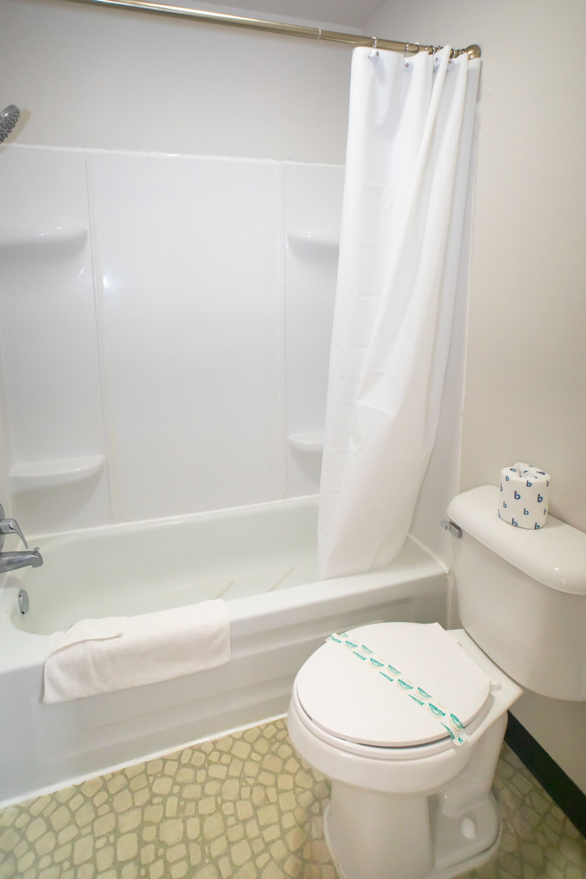 A bathroom with a bathtub, toilet, and a shower curtain.