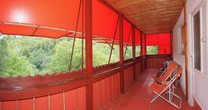 Tara - in the middle of the forest: Unit 7