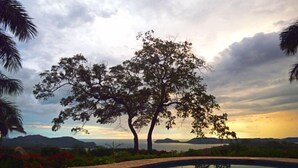 A pool with a view of a large tree and mountains in the background. - Casa Oso Grande (Sardinal)