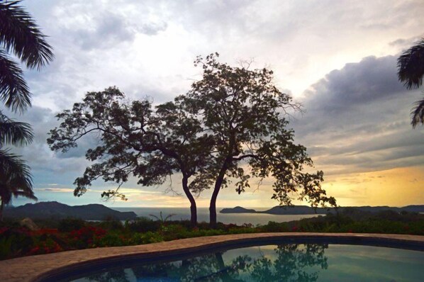 Una piscina con vistas a un árbol grande y montañas al fondo.