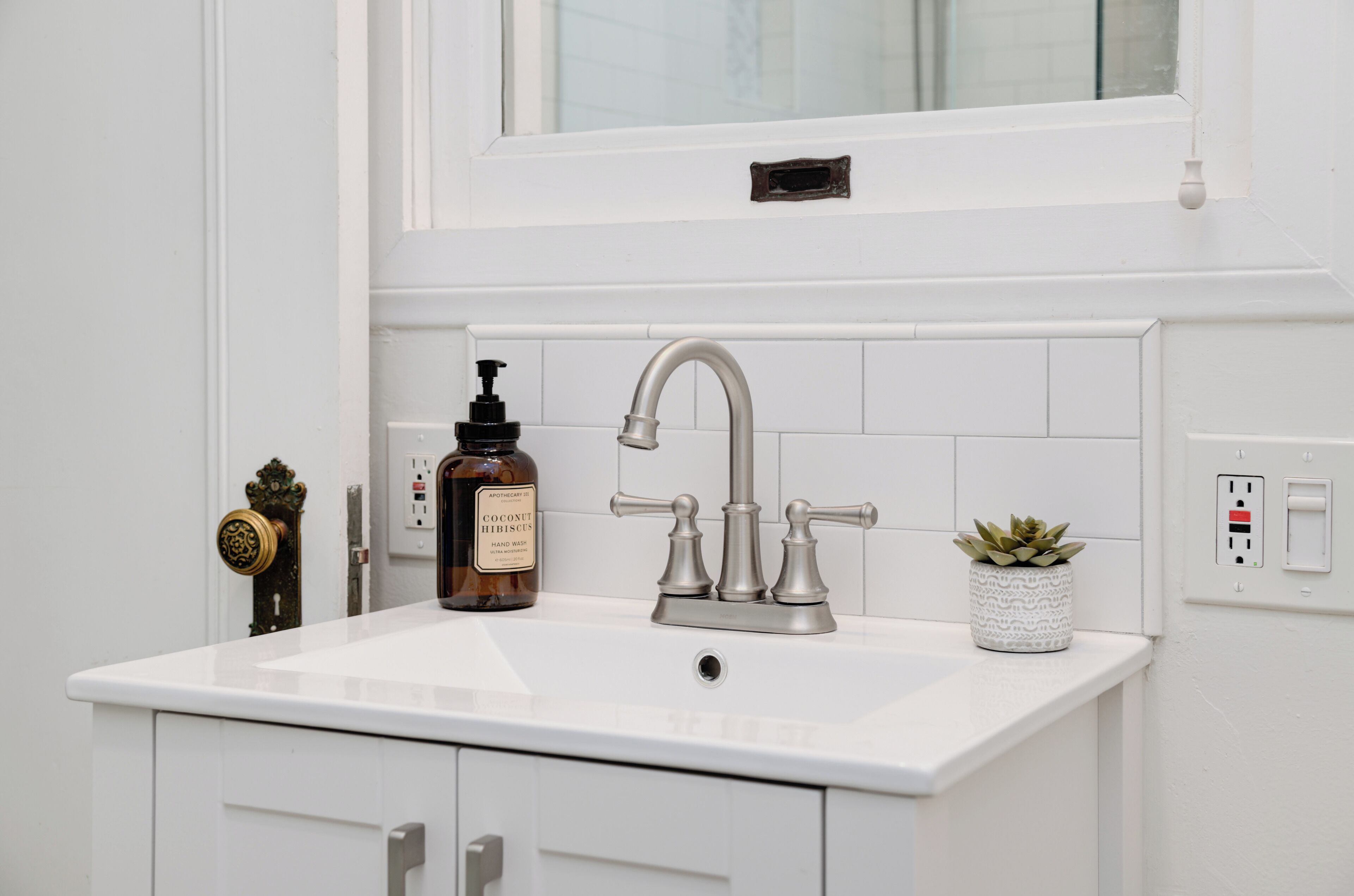 Une cuisine blanche avec un robinet en acier inoxydable, une bouteille de savon liquide pour les mains au parfum de noix de coco et d’hibiscus, et une plante succulente en pot.