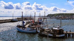 Un puerto con varias embarcaciones amarradas, un muelle y una costa lejana con edificios.
