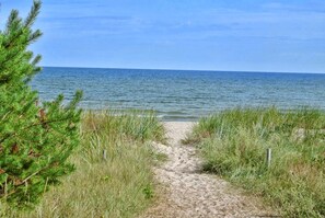 Un sentier sablonneux menant à une plage, avec une végétation herbeuse de chaque côté.