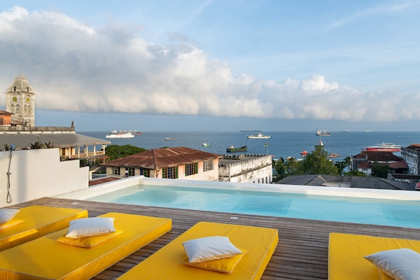 Outdoor pool, sun loungers