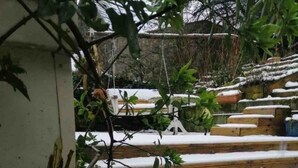 A set of wooden steps leading up to a garden area with snow on the ground and plants. - Midden Manor Country Stay on a Working Dairy Farm (Ballymena)