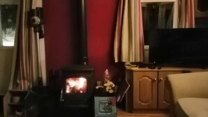 A cozy living room with a wood-burning stove, a television, and a sofa. - Midden Manor Country Stay on a Working Dairy Farm (Ballymena)