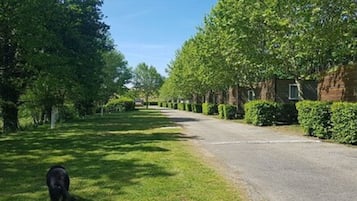 Puutarha