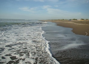 Plage à proximité, serviettes de plage