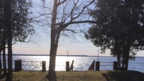 A grassy area with trees and a view of the water.