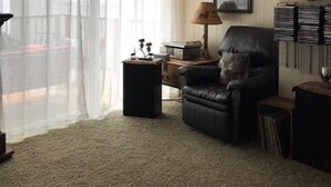 A living room with a leather armchair, a lamp, a deer head mounted on the wall, and a window with sheer curtains.