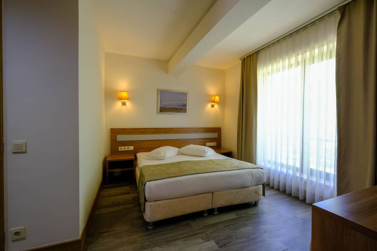 Minibar, iron/ironing board, free WiFi, bed sheets