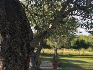 Room, 1 Bedroom, Smoking, Balcony | Property grounds - Room-l'eremo Luxury Messonete (Corfu)