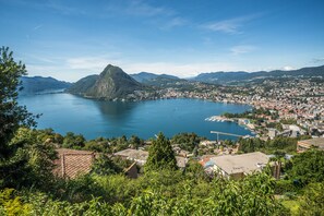 Aerial view - Heart of Lugano (Lugano)