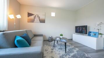 Televisión de pantalla plana, reproductor de DVD, libros