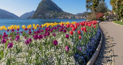 Love of Lugano