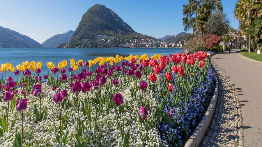 Love of Lugano