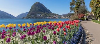Love of Lugano