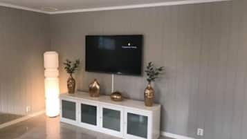 Apartment, 1 Bedroom | Television