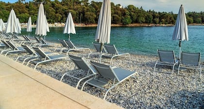 Villa Tanga near Rovinj for 8 persons with pool