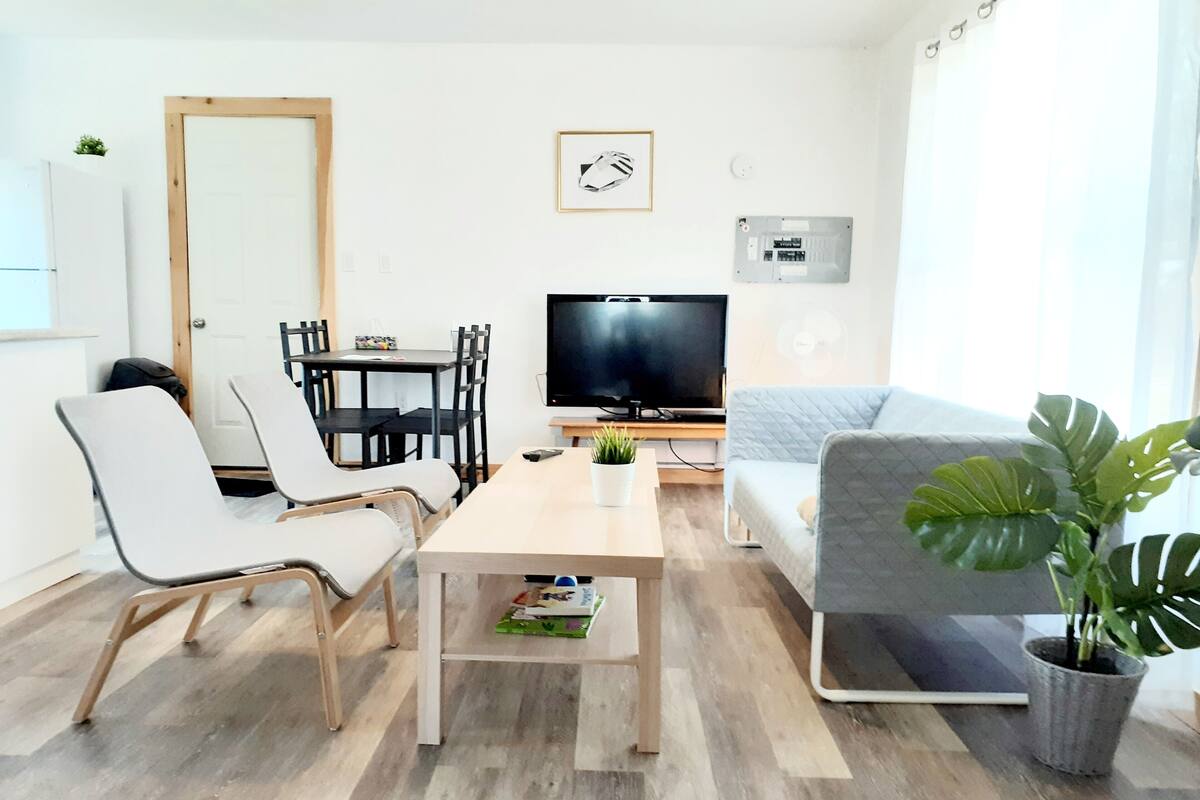A modern living room with a sofa, two chairs, a coffee table, a TV, and a potted plant.