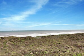 Un paysage côtier avec un premier plan herbeux qui s’étend jusqu’à la mer.