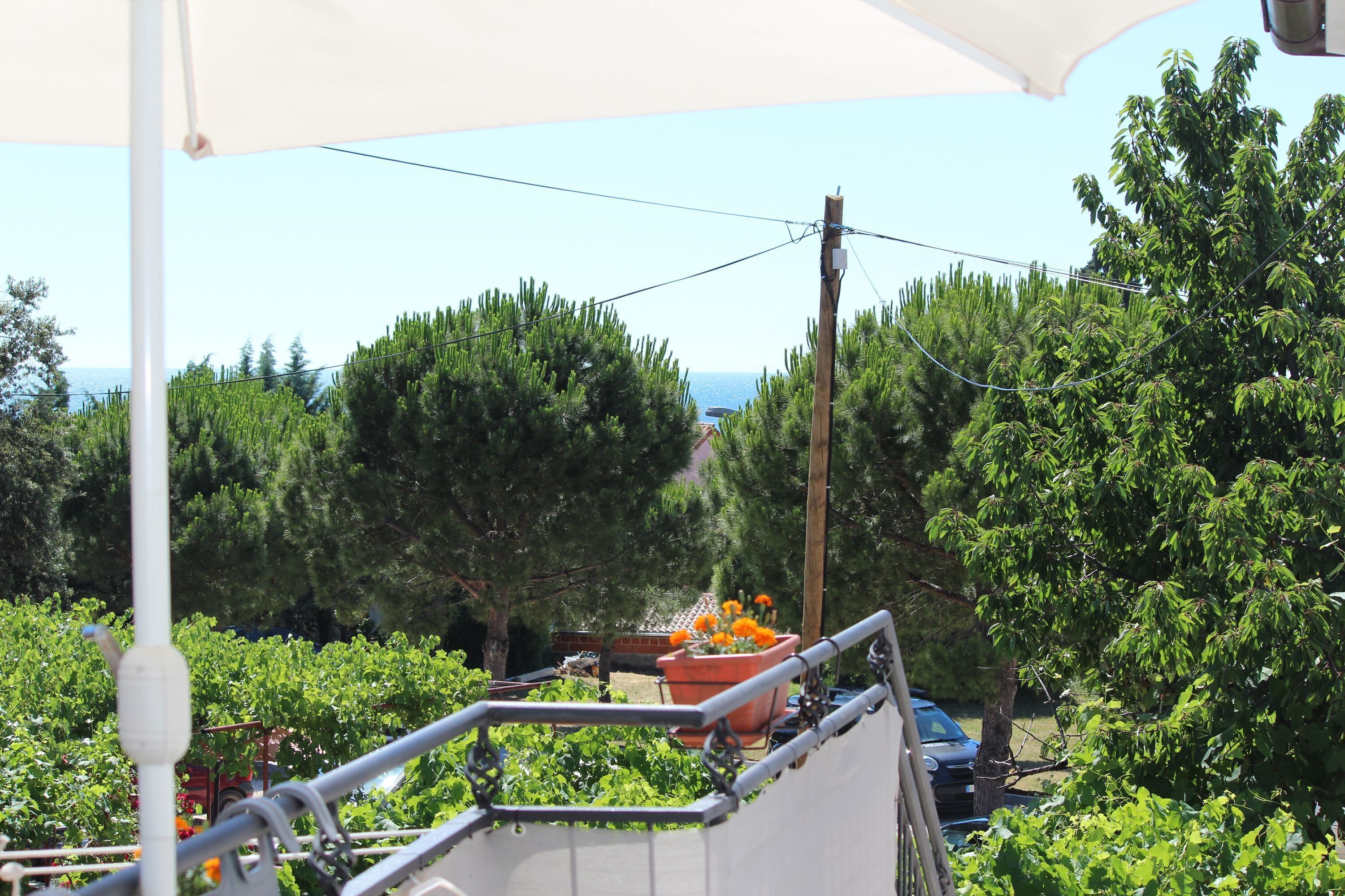 Ein Balkon mit Blick auf einen Garten und das Meer.
