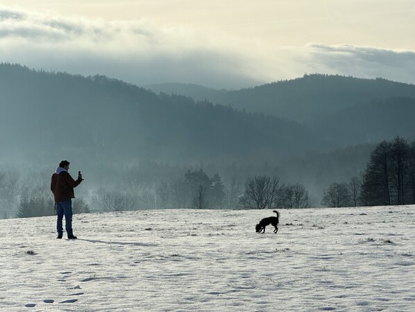 Una persona de pie en un campo nevado con un perro, contemplando una cadena montañosa boscosa.