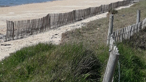 Une plage avec une clôture en bois et une zone herbeuse au premier plan.