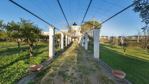 A pathway lined with columns and arches, leading to a building with a dome.